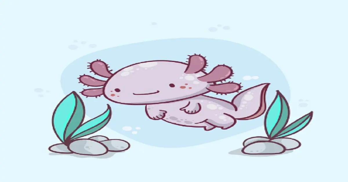 kawaii:7-xepu7gqzq= axolotl