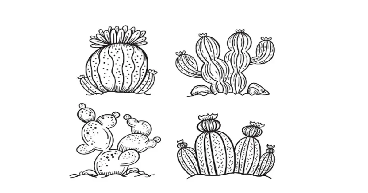 easy:cl84kzvme6w= cactus drawing